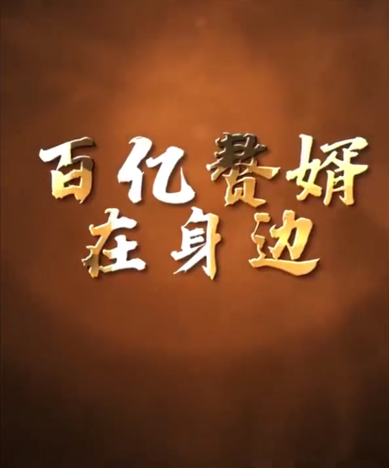 百亿赘婿在身边全集