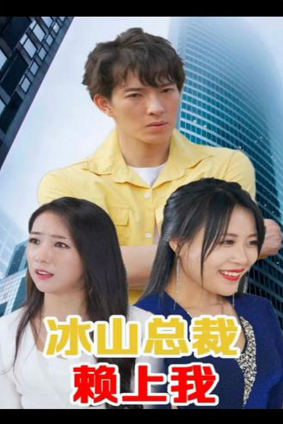 冰山总裁赖上我全集