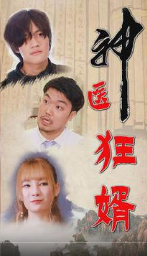神医狂婿全集