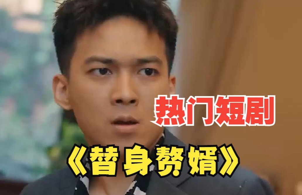 女总裁的替身赘婿全集