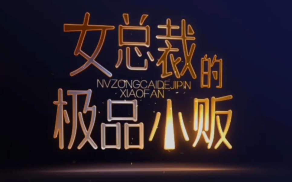 女总裁的极品小贩全集