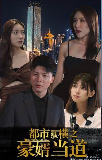 都市纵横之豪婿当道全集