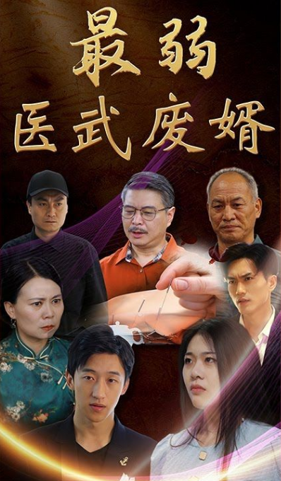 最弱医武废婿全集