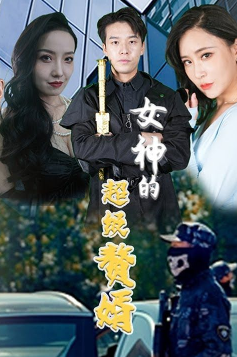 女神的超级赘婿全集