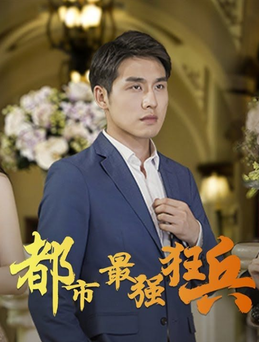 都市之最强狂兵全集