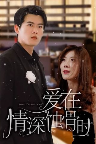 爱在情深蚀骨时全集