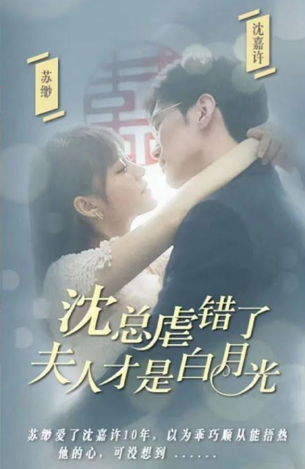 沈总虐错了夫人才是白月光全集