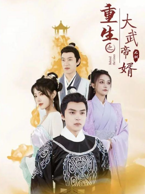 重生之大武帝婿全集