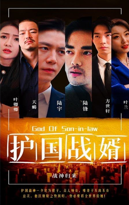 护国战婿全集