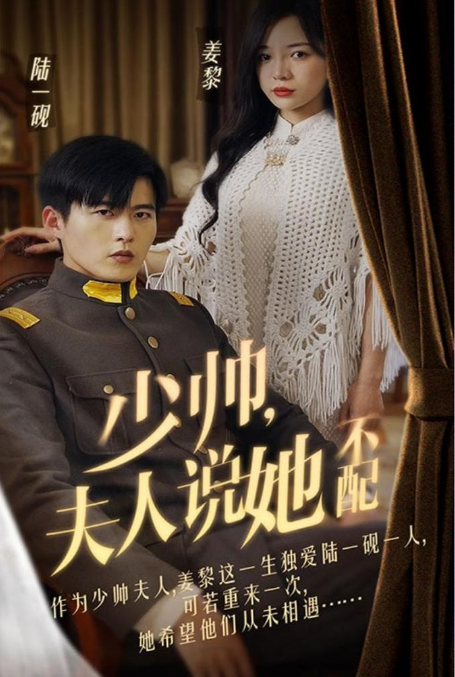 少帅夫人说她不配全集