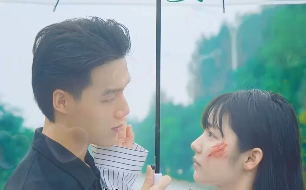 霸总的替嫁娇妻全集