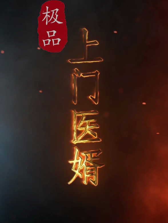 极品上门医婿全集