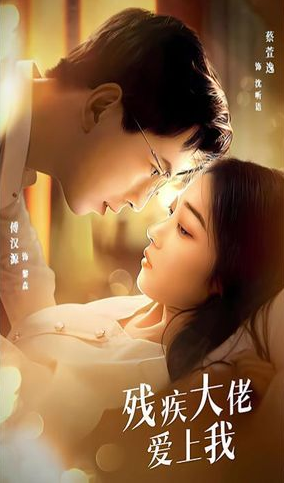 残疾大佬爱上我全集