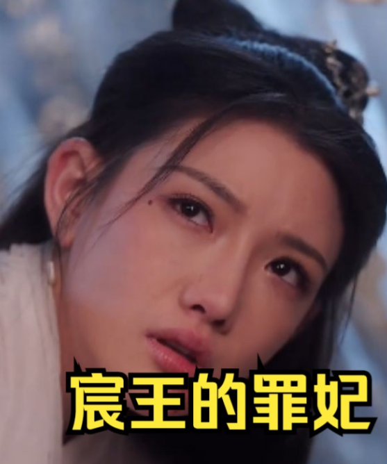 宸王的罪妃全集