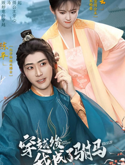 穿越后，我成了驸马全集