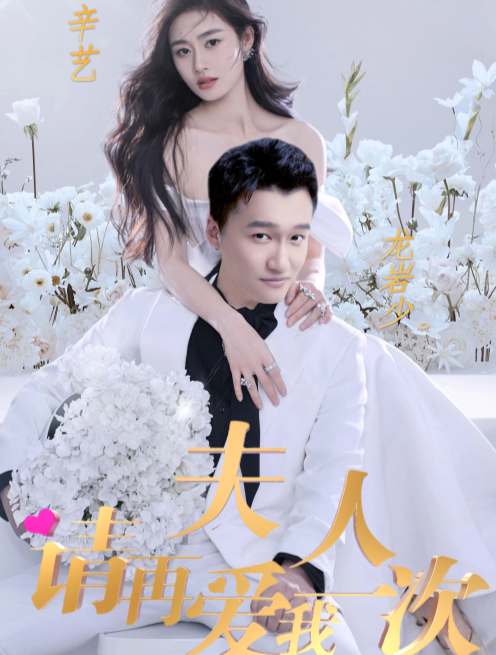 夫人，请再爱我一次全集