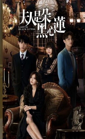 夫人是朵黑心莲全集