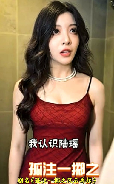 孤注一掷之风云再起全集