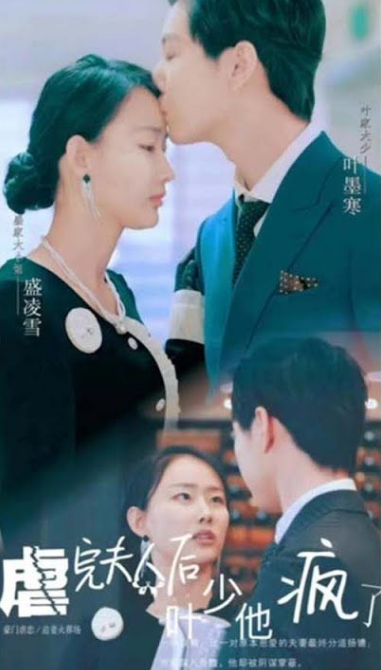 虐完夫人后叶少他疯了全集