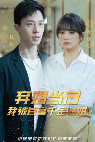弃婚当日，我被首富千金逼婚全集