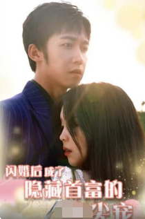 闪婚后成了隐藏首富的心尖宠全集