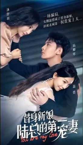 替身新娘:陆总的第一宠妻全集