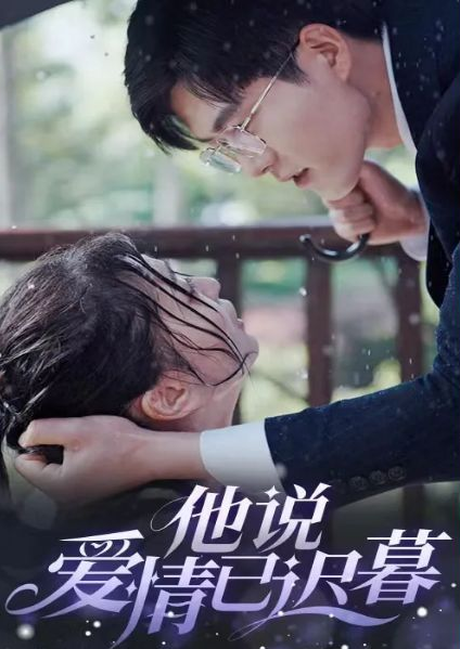 他说爱情已迟暮全集