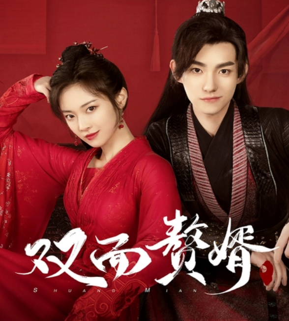 双面赘婿不好惹全集