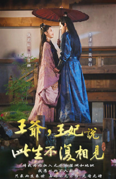王爷，王妃说此生不复相见全集