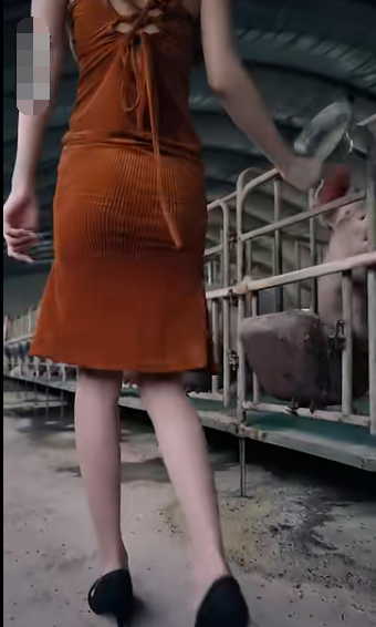 未来日记短剧全集