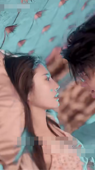 重生之凤凰涅槃全集