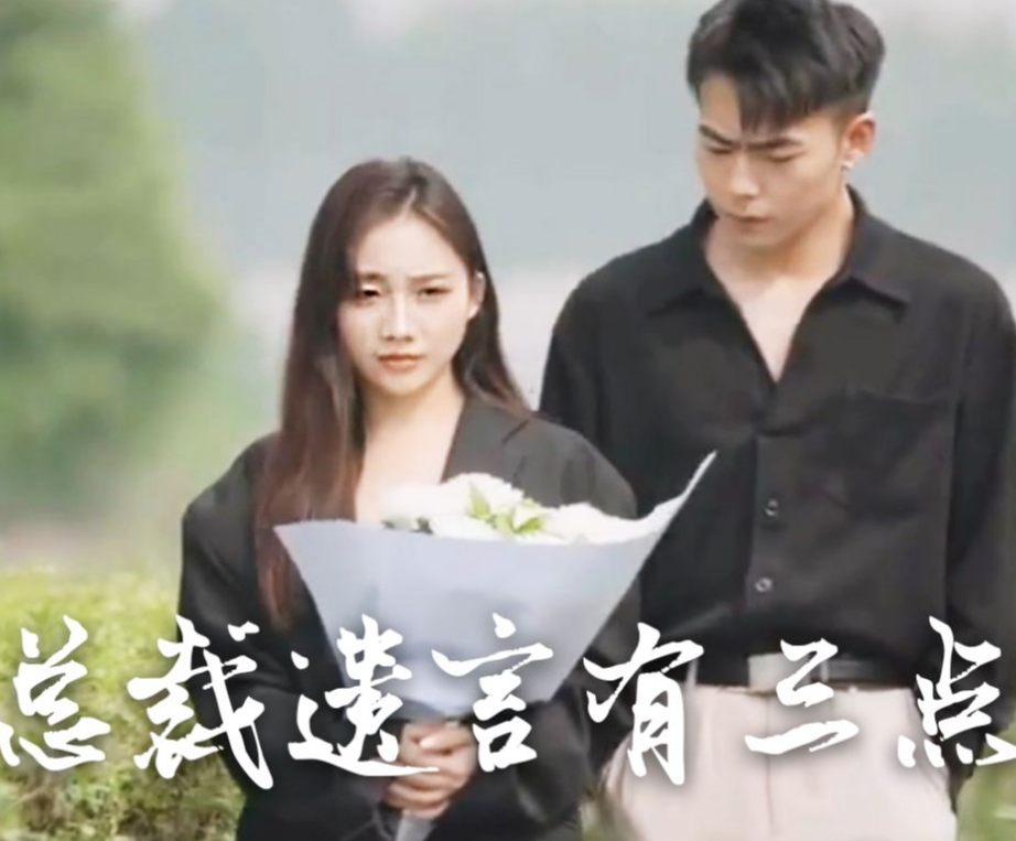 总裁遗言有3点全集