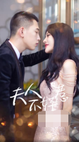 夫人不好惹全集