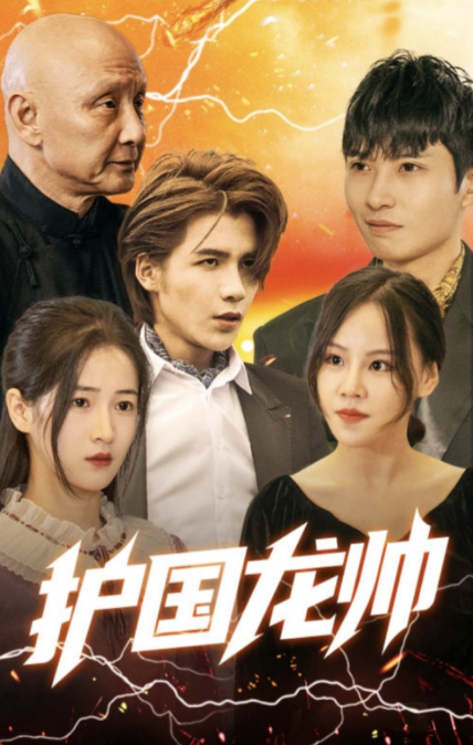 护国龙帅全集