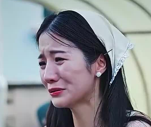 龙域领主的落难娇妻全集