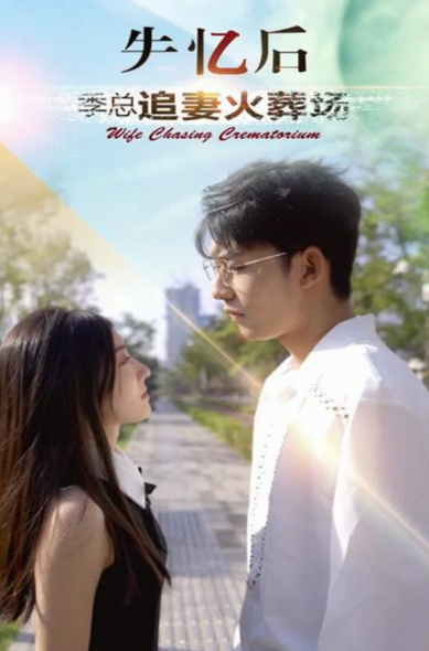 失忆后 季总追妻火葬场全集