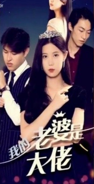 我的前妻是大佬全集