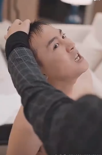 我真的不是至尊全集