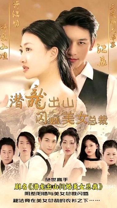 潜龙出山,闪婚美女总裁全集