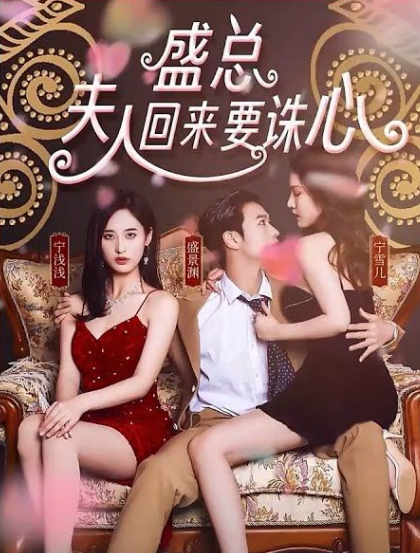 盛总，夫人回来要诛心全集