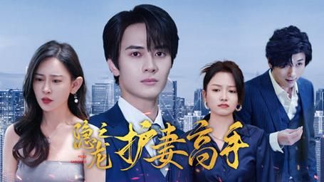 隐龙之护妻高手全集