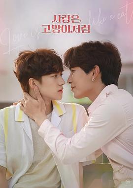 爱情像猫一样全集