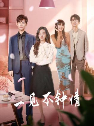 一见不钟情2024全集