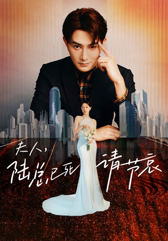 夫人，陆总已死请节哀全集