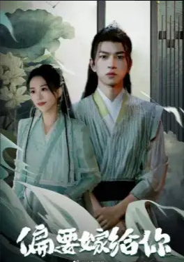 偏要嫁给你全集