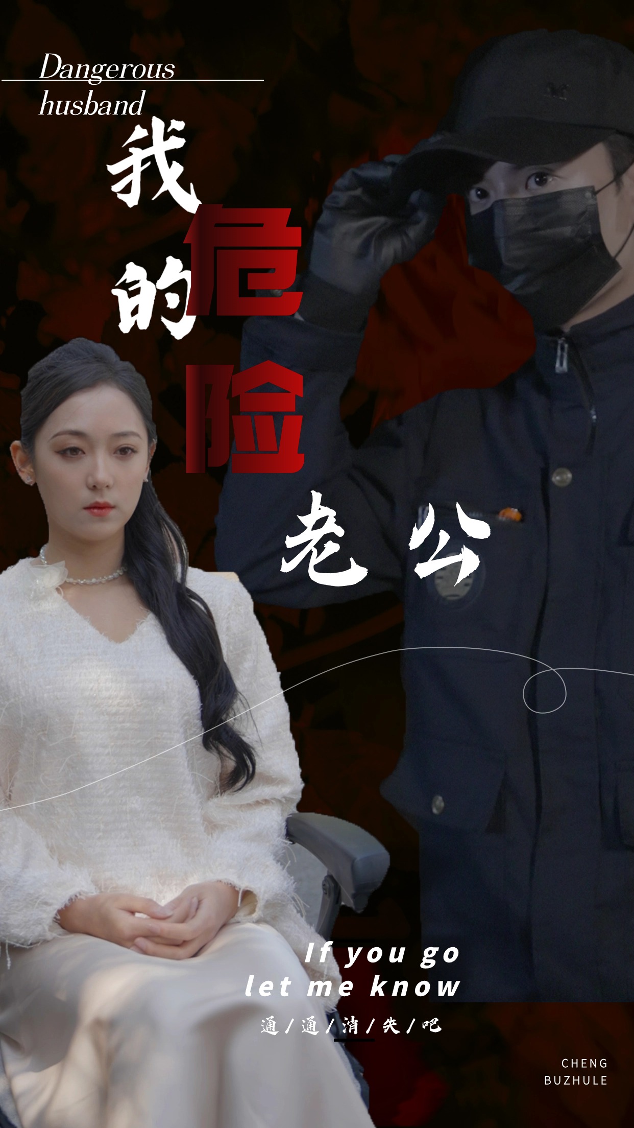 我的危险老公全集