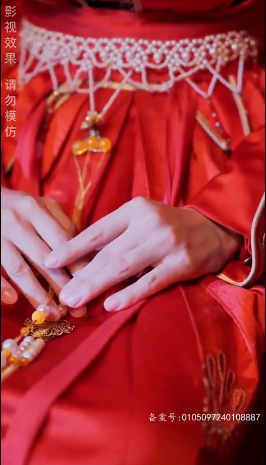 傅总的天降太子妃全集