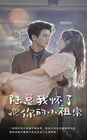陆总，我怀了你的小祖宗全集