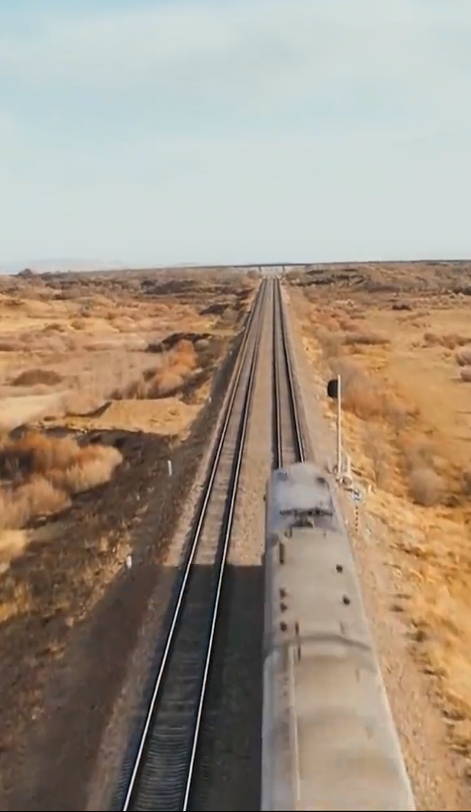 列车逃杀我能推算未来全集