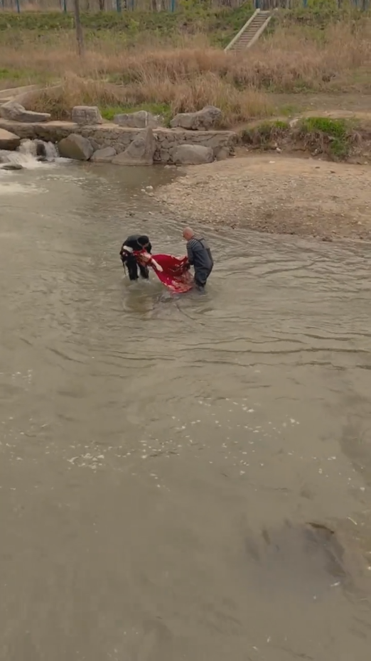 我在80年代撩首富全集